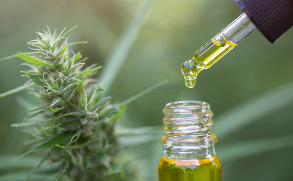 Wie Sie in Deutschland ein gutes und sicheres CBD-Öl erkennen