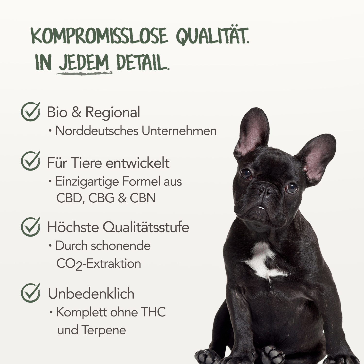 Elbgras Bio CBD-Öl für Tiere 10%