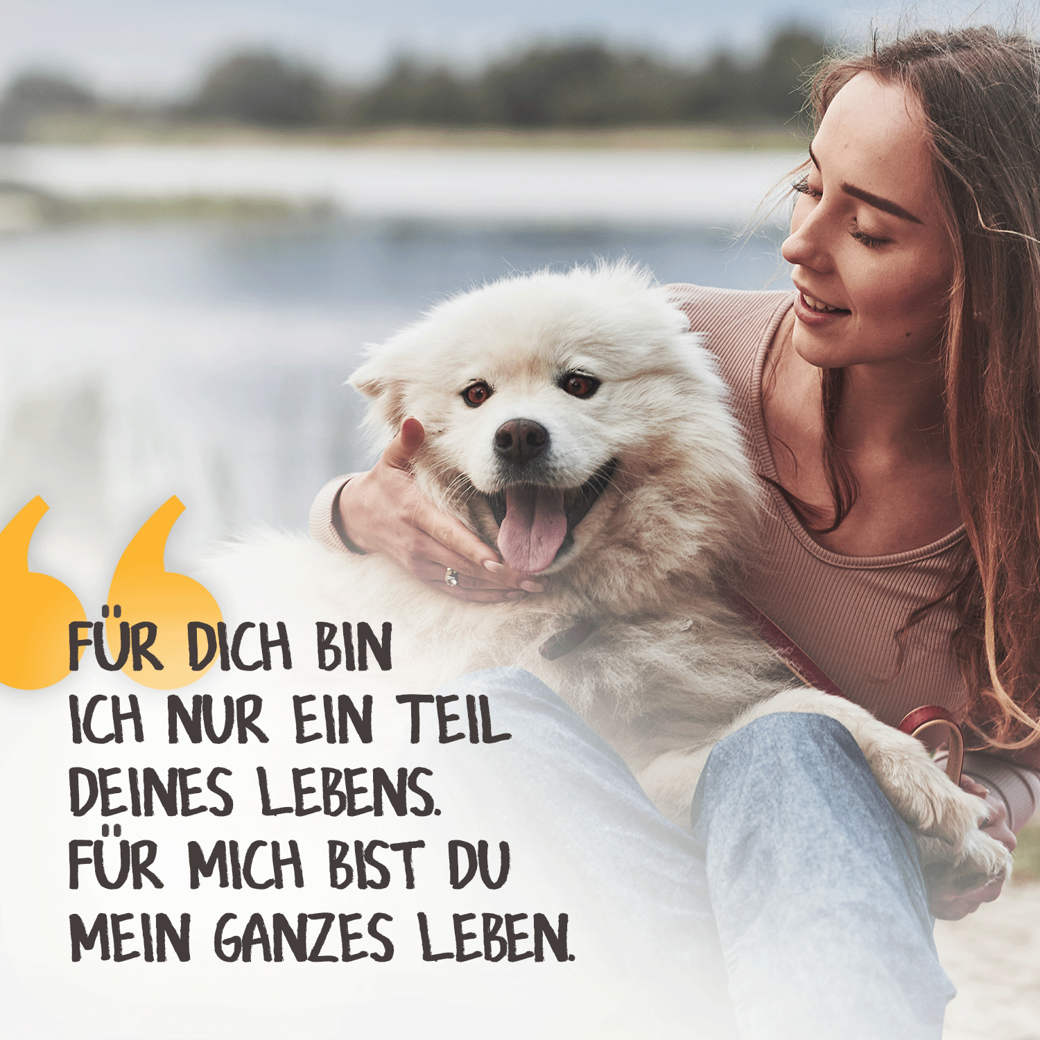 Elbgras Bio CBD-Öl für Tiere 10%