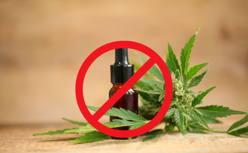 Keine CBD-Öle auf Amazon? CBD-Öle auf Amazon verboten? Alternativen?