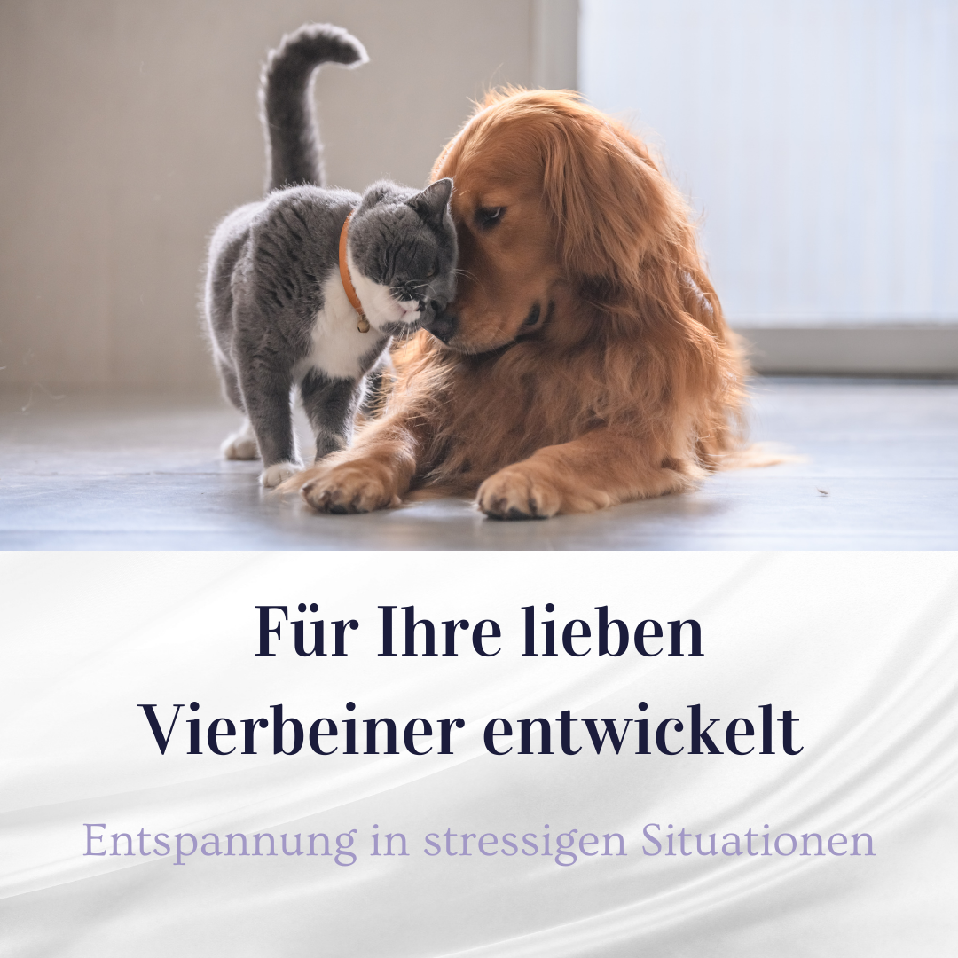 Deichtau Bio CBD-Öl für Tiere 30%