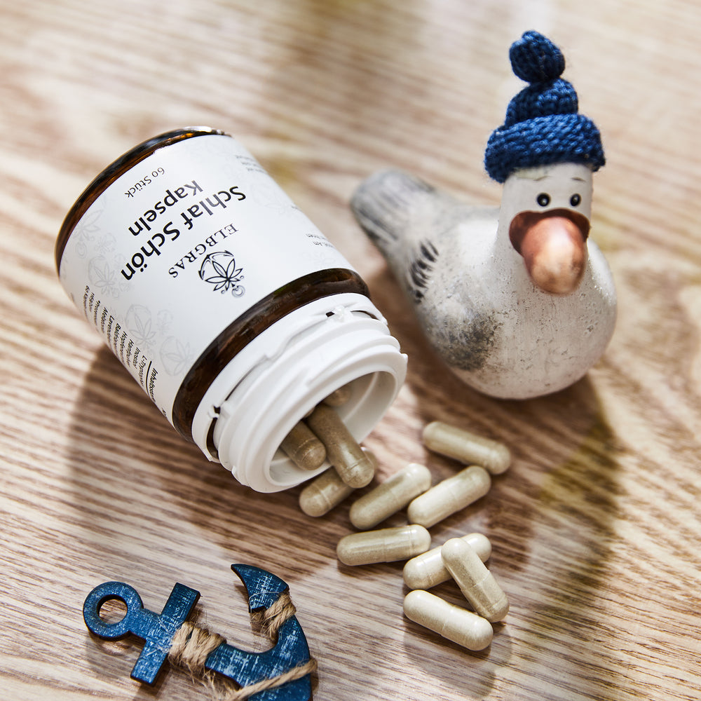 Schlaf Schön Kapseln mit Melatonin und Hanf
